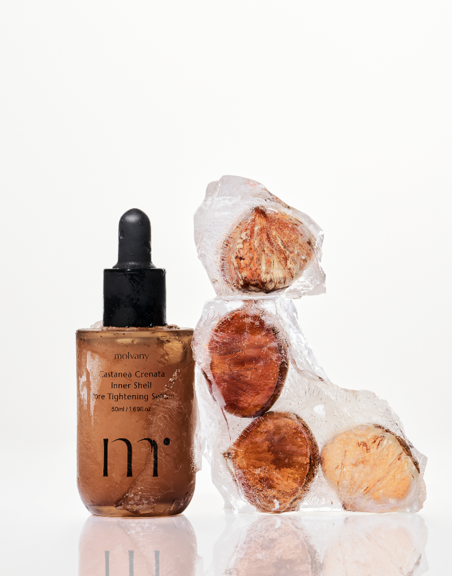molvany Castanea Crenata Inner Shell Pore Tightening Serum
