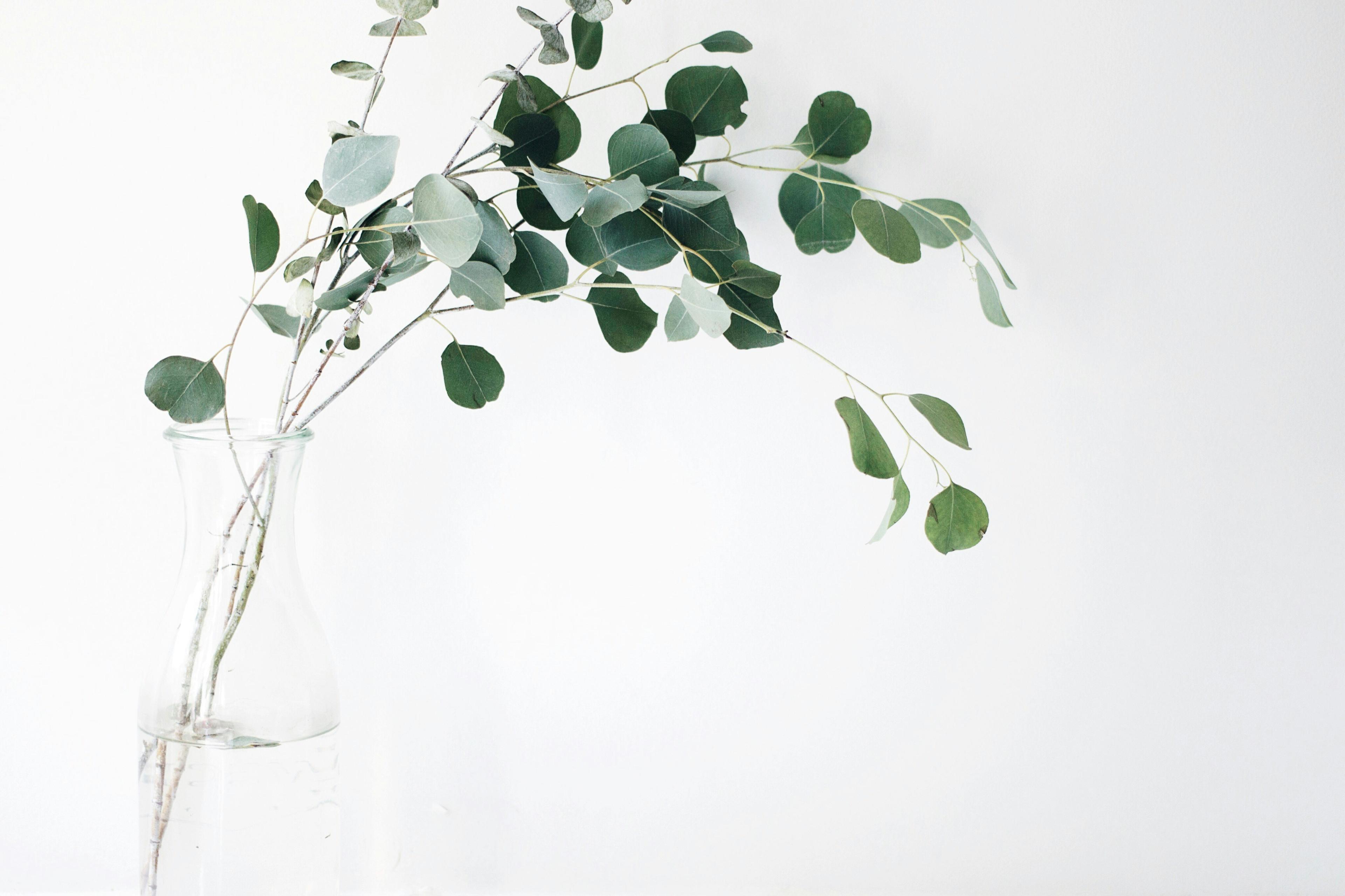 banner img